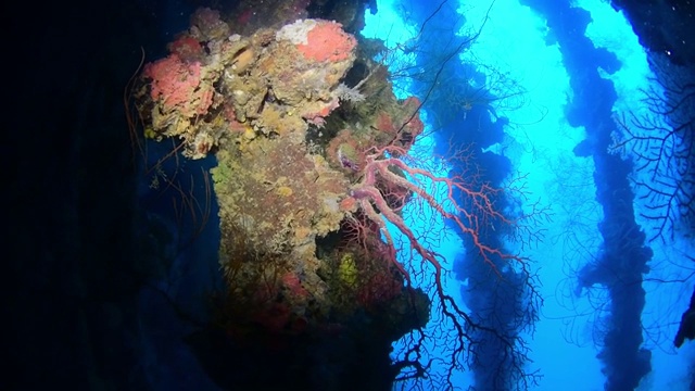 Yamagiri Maru，水下破坏，泻湖卡车，Chuuk Micronesia视频素材