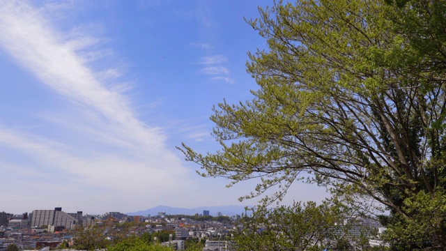 从山上看到的郊区城镇视频素材