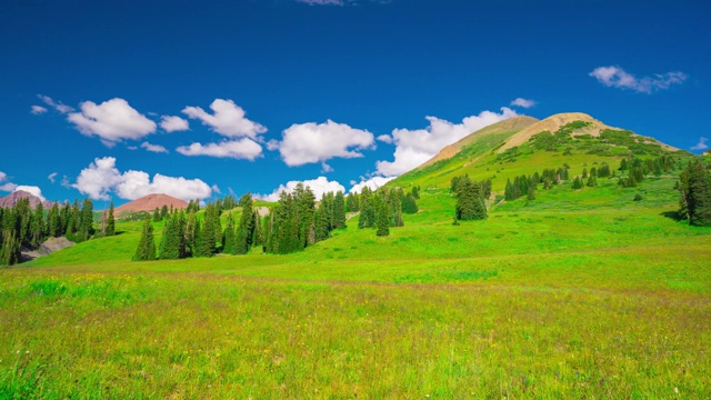 郁郁葱葱的绿色草地在岩石山国家公园埃斯蒂斯时间流逝4K视频素材