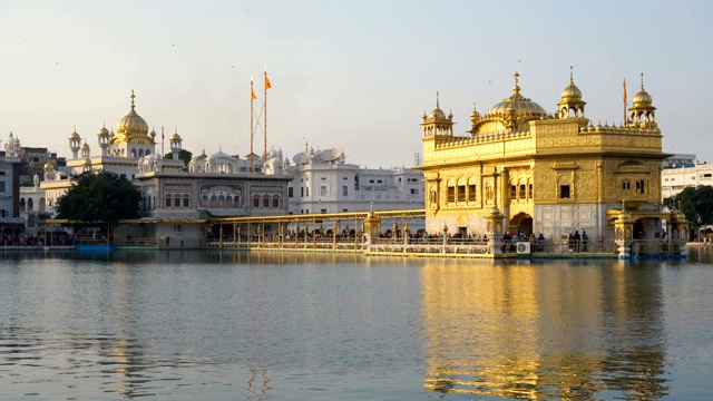 印度阿姆利则金庙(Harmandir Sahib)和圣水池视频素材