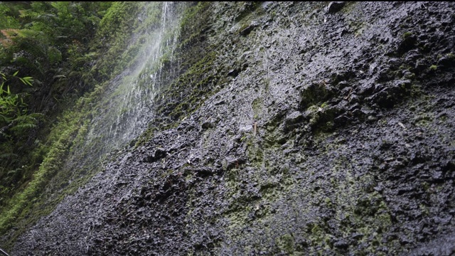 瀑布覆盖着绿色植物的岩石视频素材