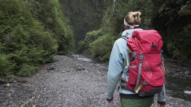 背着背包在绿色峡谷徒步旅行的女人视频素材