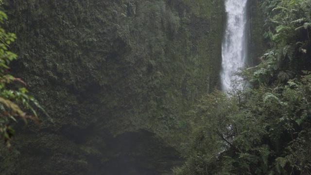 瀑布覆盖着绿色植物的岩石视频素材