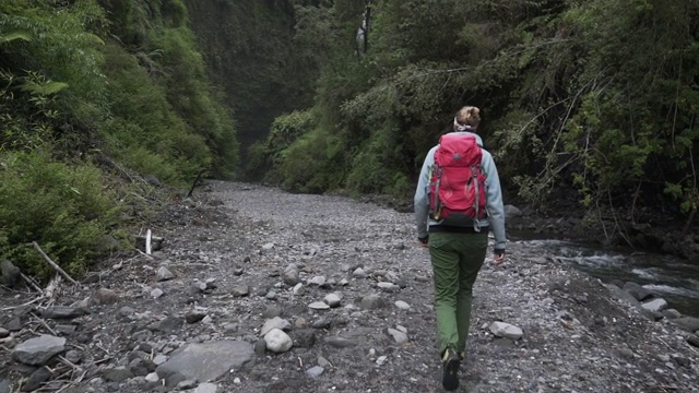 背着背包在绿色峡谷徒步旅行的女人视频素材