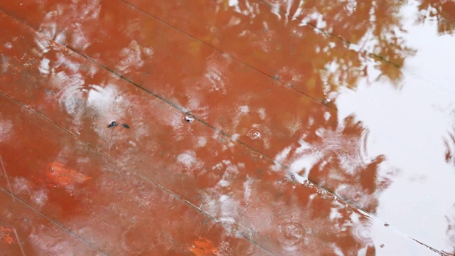 雨落在木地板上视频素材