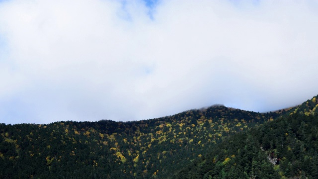 放大时间流逝树叶山和天空视频素材