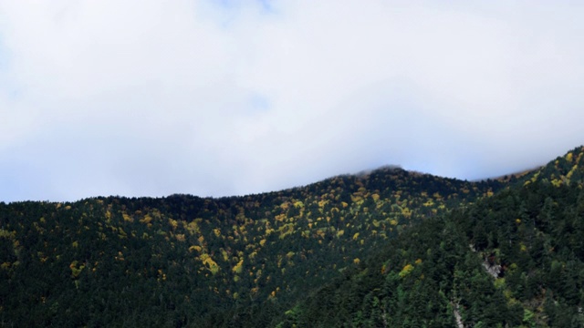 倾斜下来的时间流逝树叶山和天空视频素材