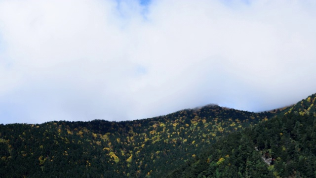 多莉拍摄的时间流逝，树叶，山和天空视频素材