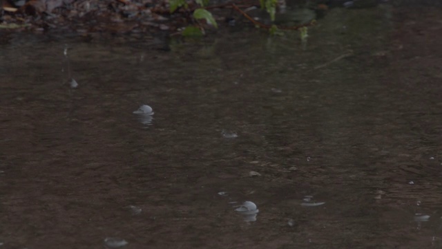 雨滴在水坑里荡漾视频素材