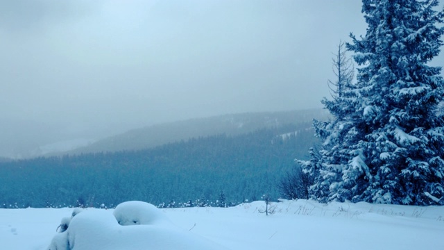 一场冬季的暴风雪视频素材