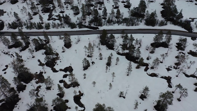 无人机拍摄:在挪威的一片冰雪覆盖的冬季森林上空视频素材