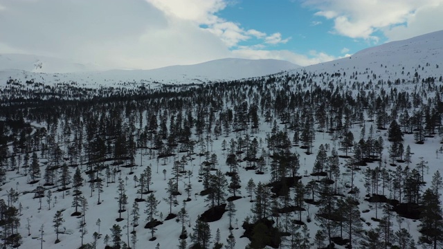 无人机拍摄:在挪威的一片冰雪覆盖的冬季森林上空视频素材