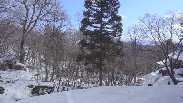 雪林，长野，日本，亚洲视频素材