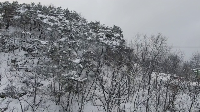 雪景/全拉岛imsili -gun，韩国视频素材