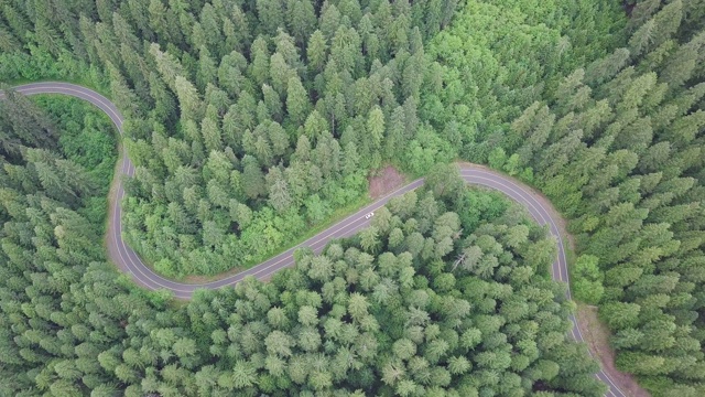 空中俯瞰4k汽车行驶在乡村道路在黄昏的森林在傍晚。无人机在松树林的砾石路上飞行。无人机从晴天上空拍摄视频素材