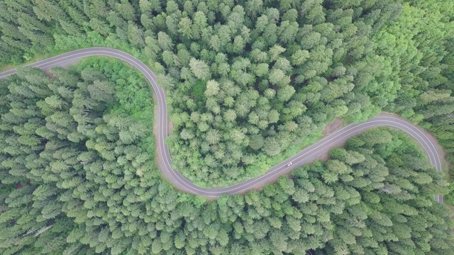 空中俯瞰4k汽车行驶在乡村道路在黄昏的森林在傍晚。无人机在松树林的砾石路上飞行。无人机从晴天上空拍摄视频素材