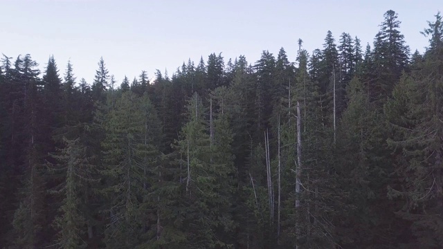 鸟瞰图，森林和火山在美丽的晴天。胡德山是喀斯喀特火山弧中活跃的成层火山。美国西北太平洋地区。美国俄勒冈州视频素材