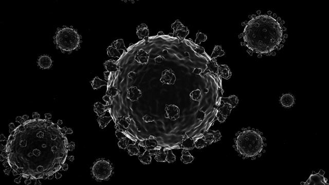 Covid-19冠状病毒视频下载