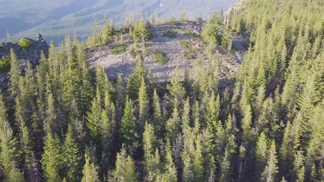 鸟瞰图，森林和火山在美丽的晴天。胡德山是喀斯喀特火山弧中活跃的成层火山。美国西北太平洋地区。美国俄勒冈州视频素材