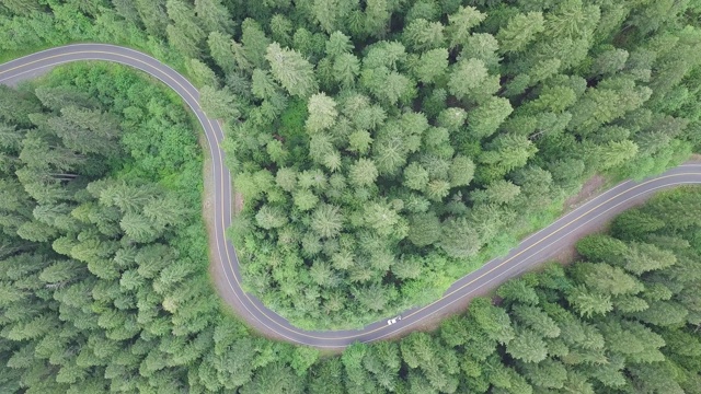 空中俯瞰4k汽车行驶在乡村道路在黄昏的森林在傍晚。无人机在松树林的砾石路上飞行。无人机从晴天上空拍摄视频素材