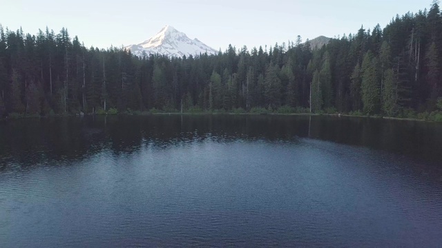 鸟瞰图，森林和火山在美丽的晴天。胡德山是喀斯喀特火山弧中活跃的成层火山。美国西北太平洋地区。美国俄勒冈州视频素材