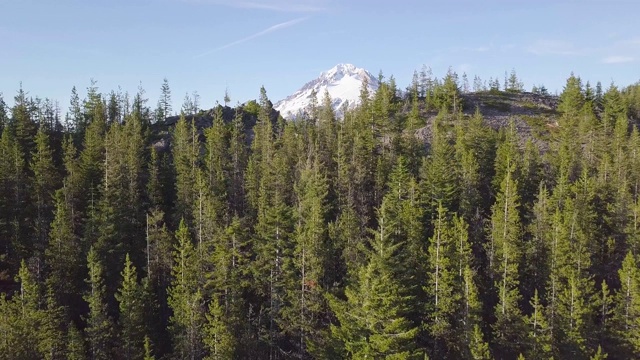 鸟瞰图，森林和火山在美丽的晴天。胡德山是喀斯喀特火山弧中活跃的成层火山。美国西北太平洋地区。美国俄勒冈州视频素材