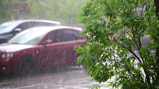 漂亮的大春雨滴丁香4k视频视频素材