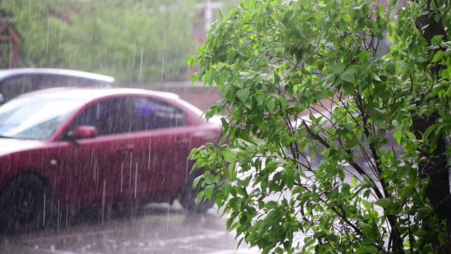 漂亮的大春雨滴丁香4k视频视频素材