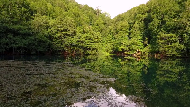 森林中的湖泊和倒影视频素材