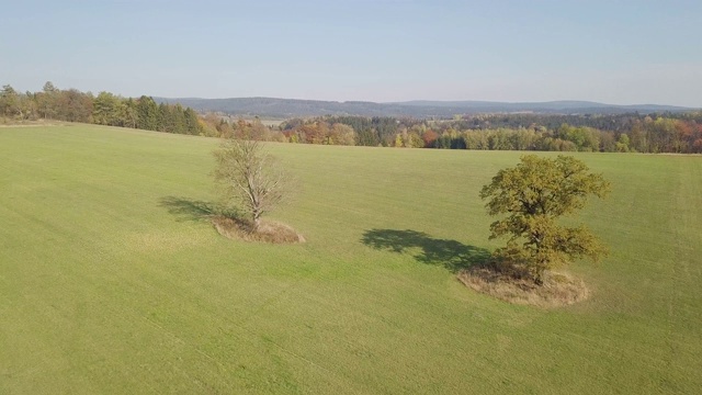 无人机镜头视图:在日出柔和的光线下飞过秋天的山景，森林，田野和草地。雄伟的景观。美丽的世界。4 k视频素材