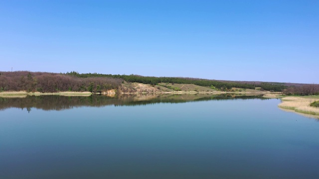 风景如画的湖泊。在湖滨森林里。鸟瞰图视频素材