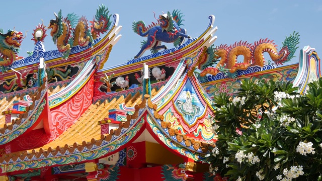 中国传统东方道教寺院寺院屋顶细节，节日龙灯装饰。亚洲古典宗教的多色神龛或宝塔在阳光明媚的日子里盛开的鸡蛋花视频素材