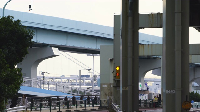 2018年1月19日，日本东京港区竹叶区的高架铁路“Yurikamome”(东京滨水新运输滨水线)在东京湾滨水区的运河上运行。视频素材