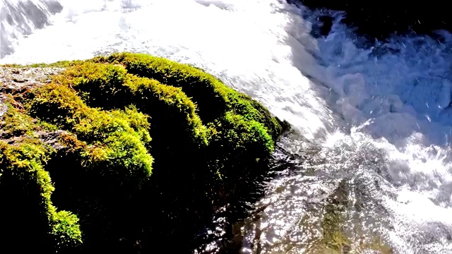 阳光河水浪花石苔视频素材