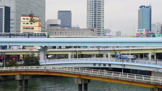 2018年1月19日，日本东京港区青浦码头附近的运河上，高架铁路“Yurikamome”(东京滨水新运输滨水线)在东京湾滨水沿线运行。视频素材