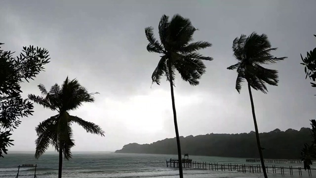 在暴风雨剪影棕榈树和云的傍晚的黑暗热带海滩的时间流逝。视频素材