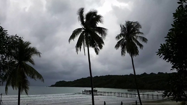 在暴风雨剪影棕榈树和云的傍晚的黑暗热带海滩的时间流逝。视频素材