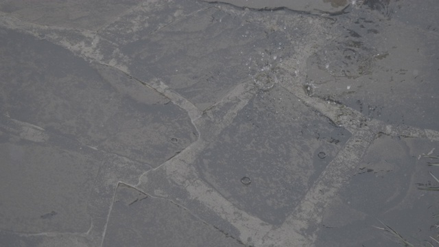 雨点落在铺路石上。灰色道路上水坑的特写镜头。雨季，阴天户外，自然。视频素材