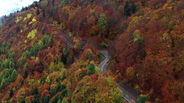 空中摄影拍摄显示了生动的秋天的颜色和一辆汽车在乡村道路上，意大利视频素材