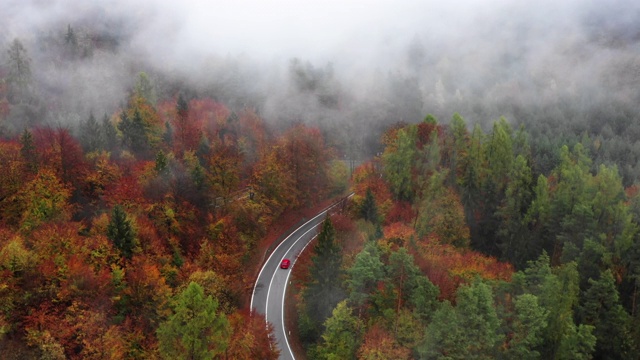 穆迪航拍的一辆汽车在森林道路上行驶在秋天，Dolomites，意大利视频素材