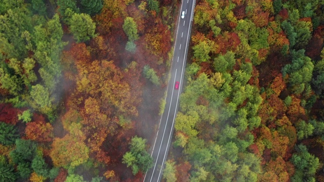 空中跟踪拍摄的一辆汽车在秋天穿过森林，Dolomites，意大利视频素材