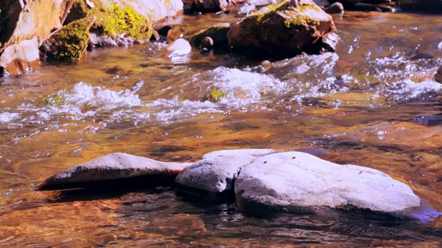 细节在阳光中流淌视频素材