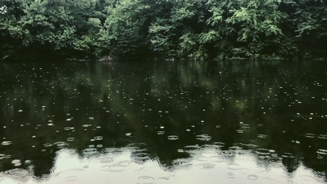 雨点慢慢地滴在湿地上视频素材