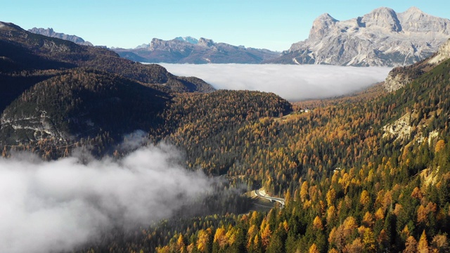 在意大利Dolomites，一个山谷的低空雾被无人机拍摄在秋天视频素材