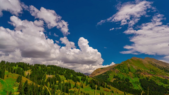 华盛顿峡谷山脊，夏春山谷充满绿色的树叶与深蓝色的天空时光流逝4K视频素材