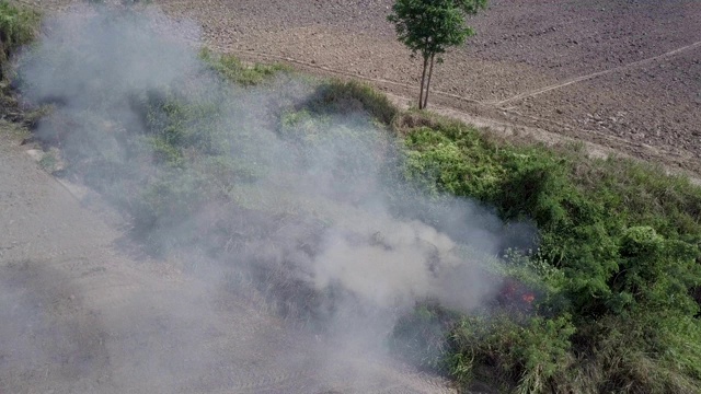 空中射击。燃烧秸秆和甘蔗为农业做准备。视频素材