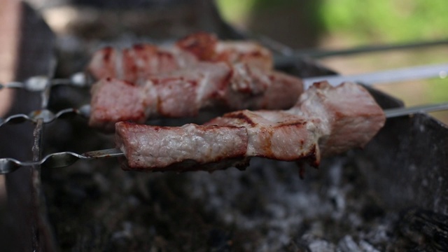 在户外烤架上烤生肉。野餐时用木炭烧烤肉。烧烤派对上烤羊肉串。视频素材