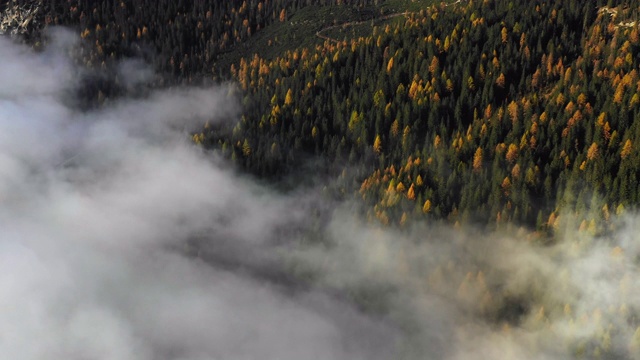 戏剧性的鸟瞰图显示低云漂浮在森林在秋天，Dolomites，意大利视频素材