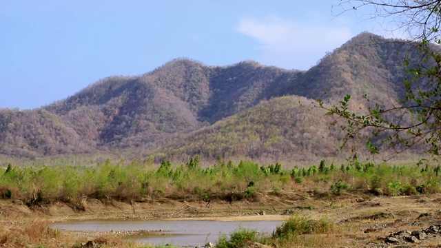 46、青山绿水，资源茂盛视频素材