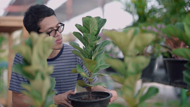 一个年轻人在花店选了一株植物视频素材